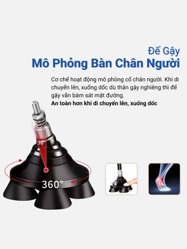 Để-gậy-mô-phỏng-cổ-chân-người