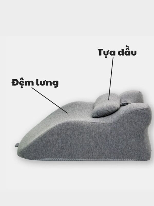 Đệm Công Thái Học