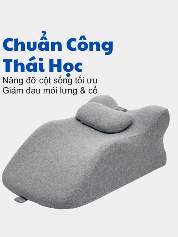 Đệm Công Thái Học