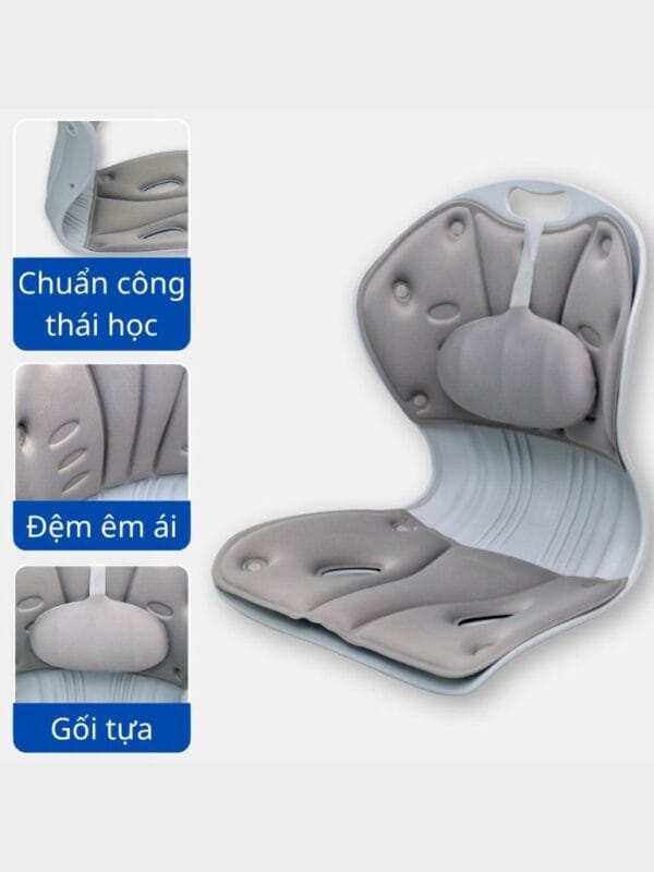 Ghế công thái học