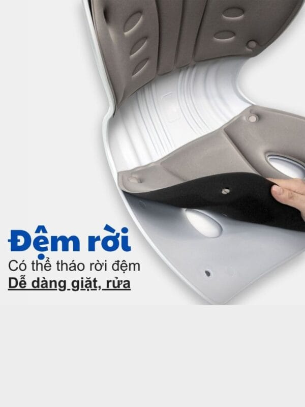 Ghế công thái học