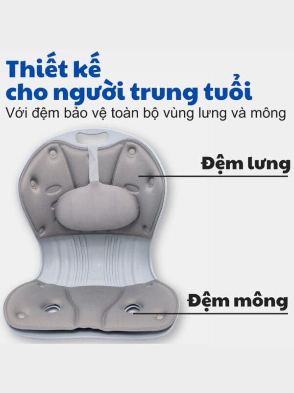Ghế công thái học